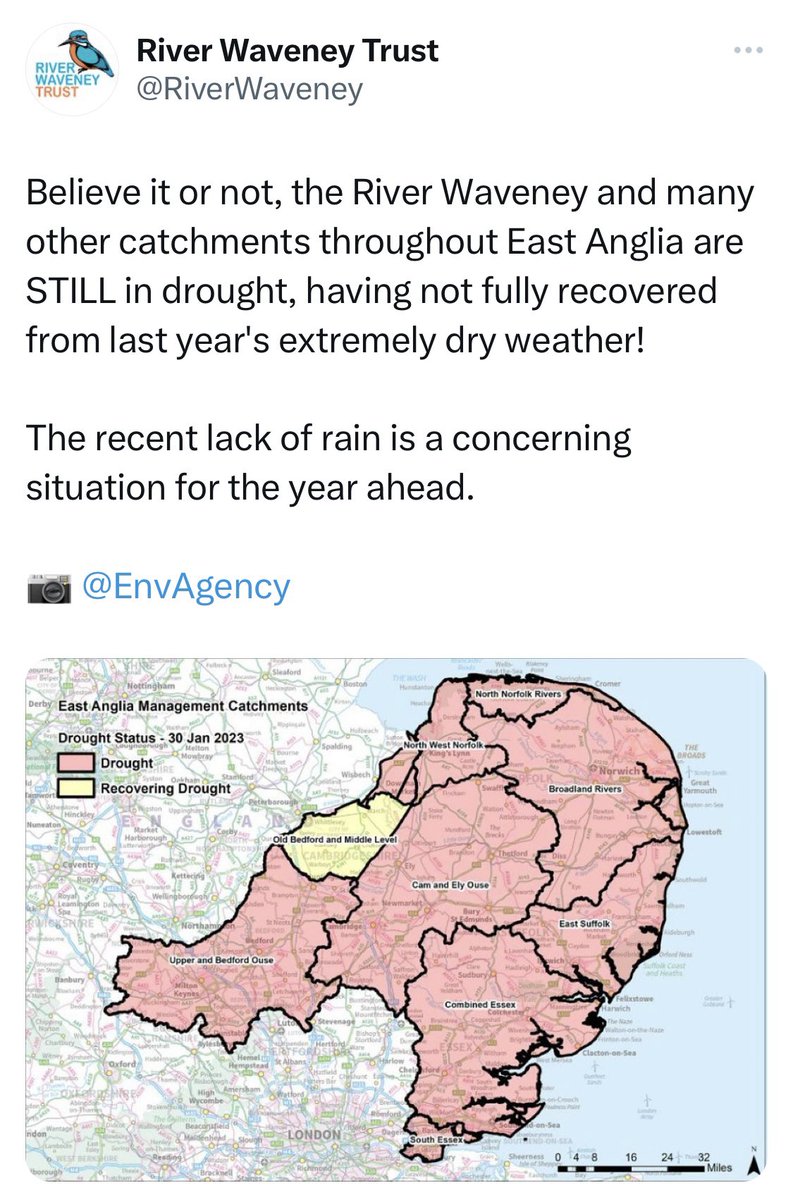 David Hoyles tweet media