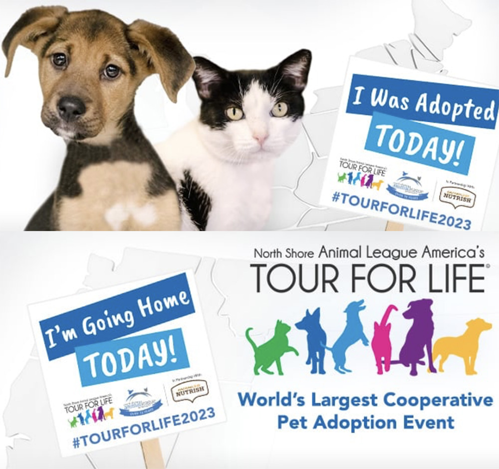 AnimalLeague's tweet photo. Monday, February 27, we're kicking off our 2023 Tour For Life! We're proud to say, OVER 28,000 ANIMALS HAVE BEEN ADOPTED NATIONALLY AND WE'RE NOT DONE YET! To find a shelter near you, visit: https://t.co/gXqcvFZfVE. #GetYourRescueOn #TourForLife2023 #Nutrish @Nutrish https://t.co/JEf4dItvdy