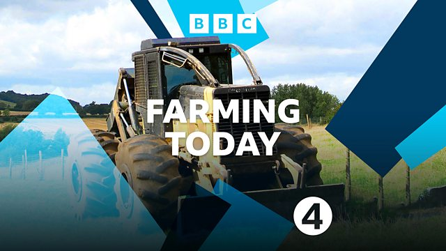 DimitriHoutart's tweet photo. The truth about #tomatogate
Is it the weather? Is it Brexit? How come supermarkets in Europe do not seem affected? As ever the answer is nuanced.
Tune in to Farming Today tomorrow at 6.30am on @BBCRadio4 for a special debate ... they may even talk about eating turnips instead! https://t.co/dao9PQDKZu