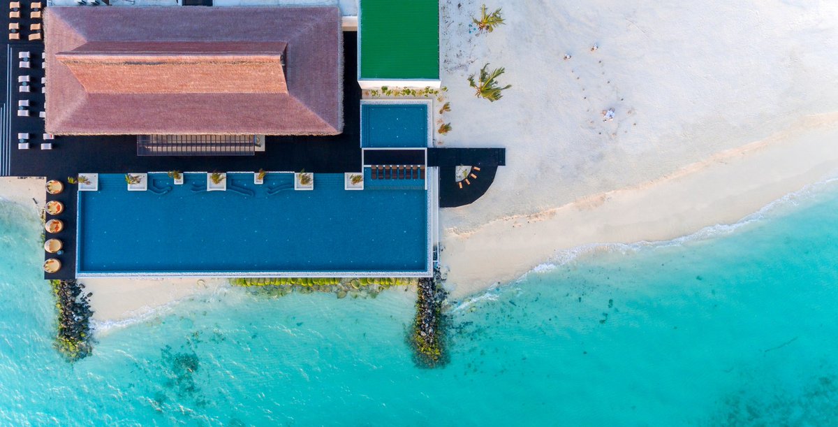 NomadsViajes's tweet photo. Y cuenta con 3 restaurantes:
🍴The Edge, especializado en cocina internacional y especialidades de Maldivas.
🥢Breeze Poolside Dining, especializado en cocina mediterránea fusionada con la asiática.
🦞Firedoor, especializado en asados en grill de pescados y mariscos. https://t.co/xlieDCI8mN