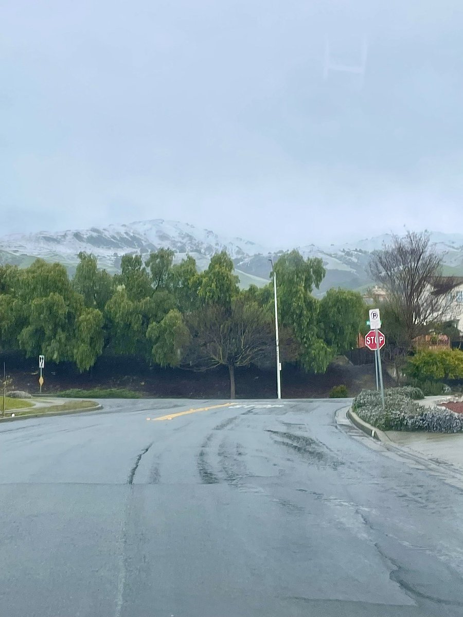 Teresa Yin tweet media