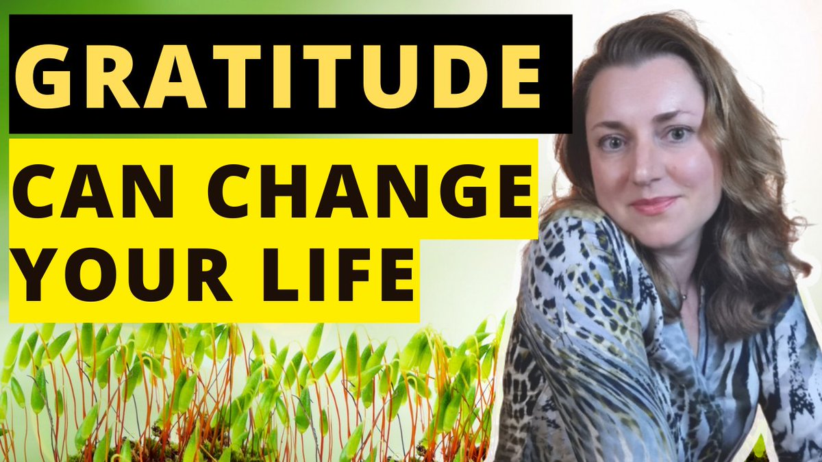 ButterflyE_tube's tweet photo. https://t.co/KHTZv25GYB
#gratitude #motivationalspeech #gratitudeexercise #gratitudeaffirmations #GratitudePractice #Begrateful #beinggrateful #psychology #gratitudemeditation #gratitudespeech #changeyourlife #dailygratitude #Appreciation #grateful #gratitudeattitude https://t.co/sMlx6vSkCy