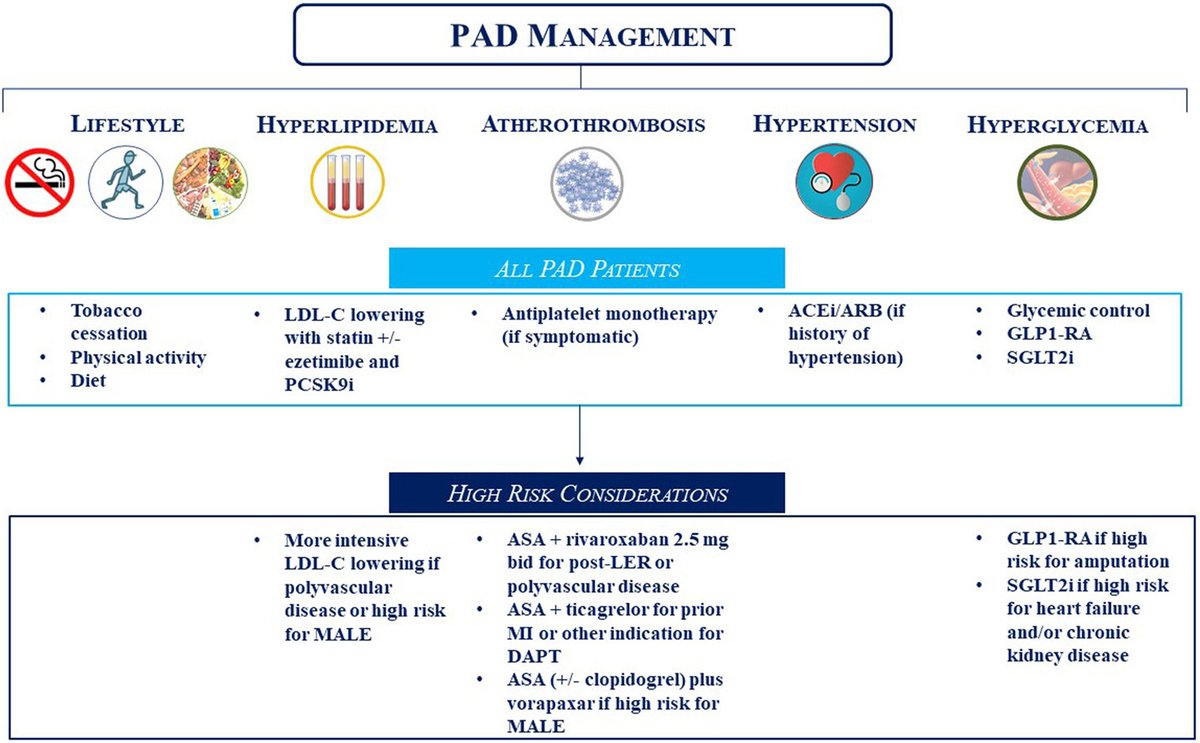 Get those legs to the gym! REVIEW: lifestyle modifications & medical management improve #PAD outcomes. ➡️ doi.org/10.1016/j.jsca… @me_canonico @MarcBonaca @CUCardiology @sealtin1 @herbaronowMD @monteleoneMD @DrDrewKleinPHI