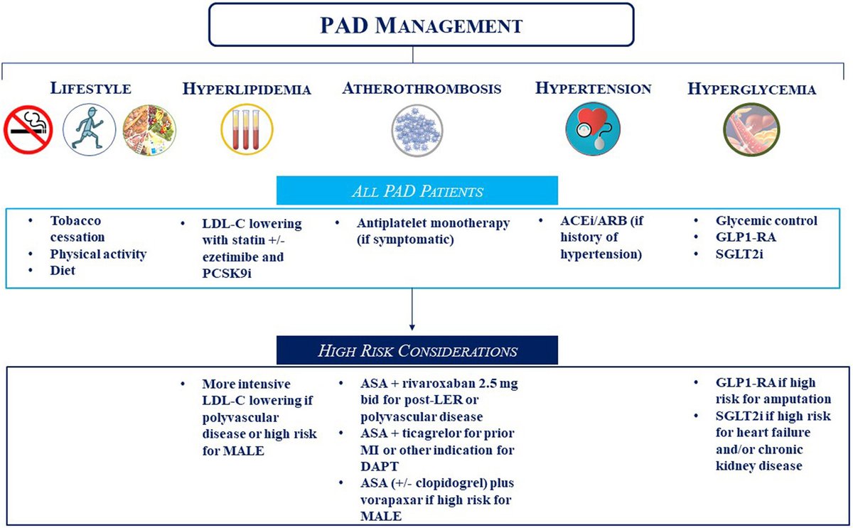 MyJSCAI (@myjscai) on Twitter photo Get those legs to the gym!
REVIEW: lifestyle modifications & medical management improve #PAD outcomes.
➡️ doi.org/10.1016/j.jsca…
<a href="/me_canonico/">Mario Enrico Canonico</a> <a href="/MarcBonaca/">Marc Bonaca MD MPH</a> <a href="/CUCardiology/">CU Cardiology</a> <a href="/sealtin1/">Elissa Altin</a> <a href="/herbaronowMD/">herbaronowMD</a> <a href="/monteleoneMD/">Peter Monteleone, MD, FACC, FSCAI</a> <a href="/DrDrewKleinPHI/">Drew Klein</a> Get those legs to the gym!
REVIEW: lifestyle modifications & medical management improve #PAD outcomes.
➡️ doi.org/10.1016/j.jsca…
<a href="/me_canonico/">Mario Enrico Canonico</a> <a href="/MarcBonaca/">Marc Bonaca MD MPH</a> <a href="/CUCardiology/">CU Cardiology</a> <a href="/sealtin1/">Elissa Altin</a> <a href="/herbaronowMD/">herbaronowMD</a> <a href="/monteleoneMD/">Peter Monteleone, MD, FACC, FSCAI</a> <a href="/DrDrewKleinPHI/">Drew Klein</a>
