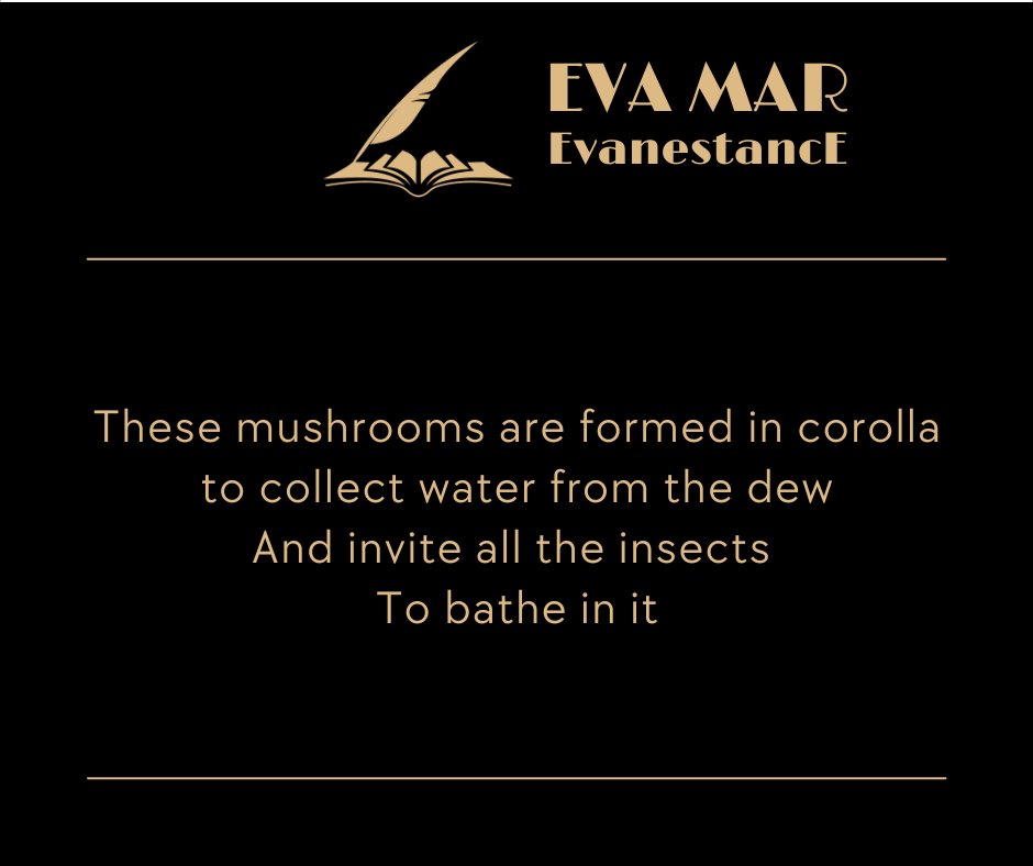 #poésie #poetry #poems #Poet
#writing #writer #haikus #nouvelles 
#WritingCommunity #PoetryCommunity
#micropoetry #poetweet #webpoesie #littérature
#inspoète #poète #instapoet #poetress #instapoésie