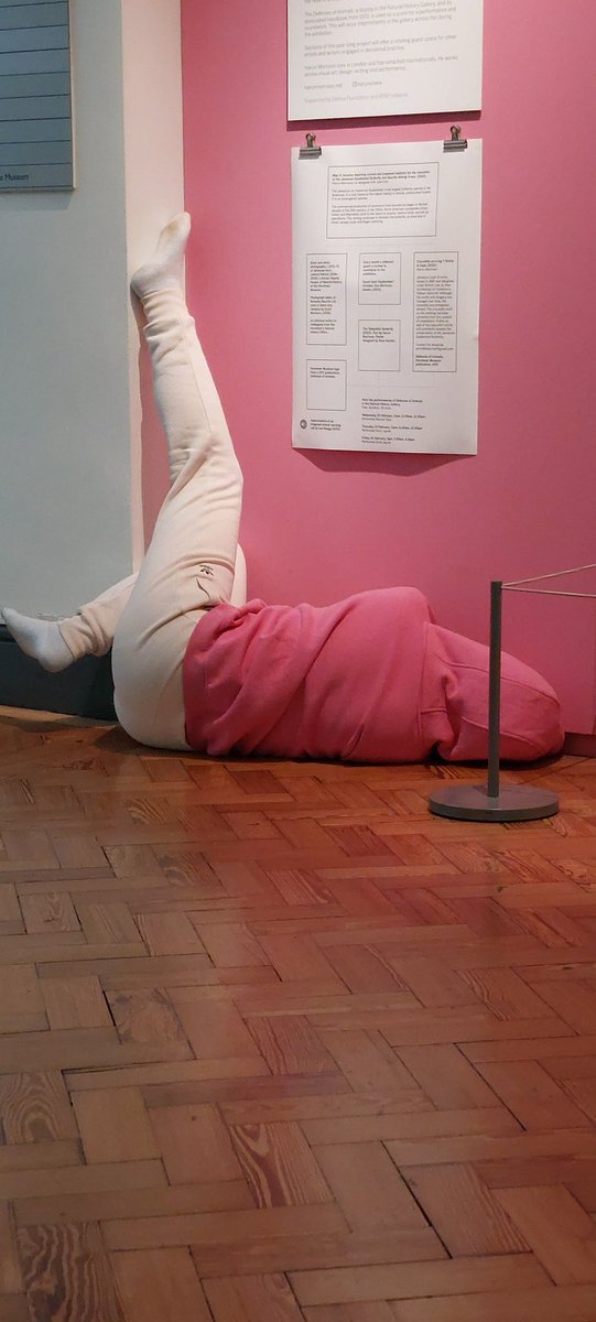 Jo Hatton tweet media