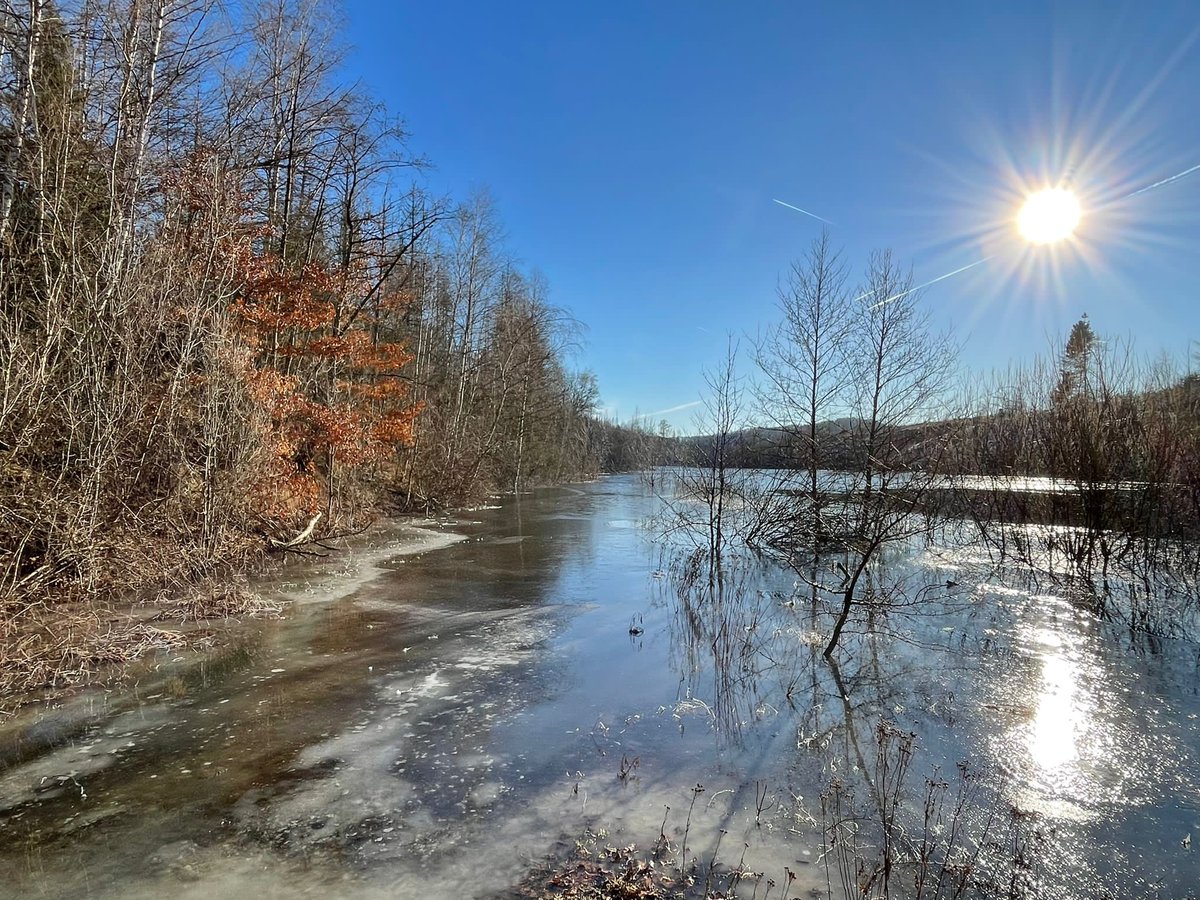 Who is a winter lover? 😍 We work among such beautiful landscapes of nature! 🌿☀️❄️ 
Rappbode Dam, Germany 🇩🇪

Details about <a href="/PhytoPlastic/">PhytoPlastic</a>  project can be found on the website: phytoplastic.wixsite.com/my-site

#microplastic #plasticpollution #microalgae #water