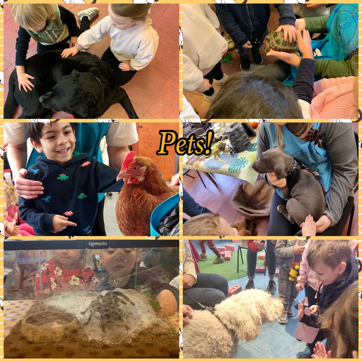 busybeesweb's tweet photo. 🐓Pet week!🕷️
🐶We loved our animal visitors this week! Thank you to chickens Blue and Marge (who laid an egg for us!)and to our gorgeous dog visitors, puppy Boyzie, Labrador Rex and very friendly Stanley! The children were fascinated by Dexter the tarantula and tortoise Arnie!🐢 https://t.co/DYyrf40DkN