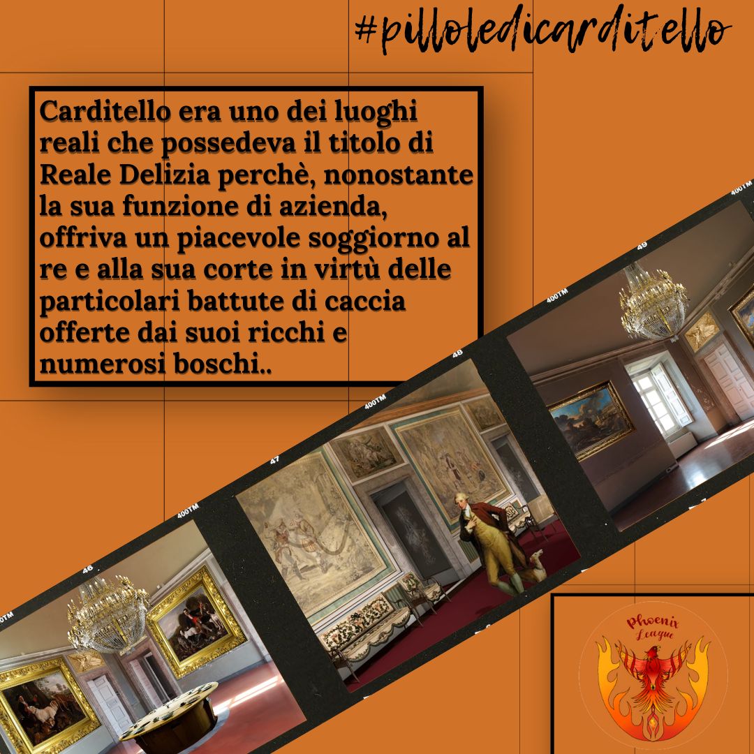 Phoenix_league_'s tweet photo. Eccoci con una nuova pillola.💊🔥 
#asoc2223 #asoc #campania #PhoenixLeagueTeam #PillolediCarditello https://t.co/UH6WD5a5Bj