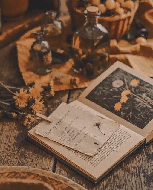 OFGOLDENRAYZ's tweet image. ✦
 　      　 * . 　　  　
   　　 ˚     ◜   ◝
⠀ ⠀ ⠀  𝓐𝐃͟𝐄͟𝐋͟𝐈͟𝐍͟𝐄͟ 𝓜𝐎͟𝐑͟𝐄͟𝐋͟𝐋͟𝐈͟.  
                                    . ·˚ₓ

     ༄ ʜᴜꜰꜰʟᴇᴘᴜꜰꜰ. ᴘʟᴀɴᴛ ᴄᴏᴍʙᴀᴛ ᴇɴᴛʜᴜsɪᴀsᴛ. ᴛʜᴇ ɢᴏʟᴅᴇɴ ᴛᴡɪɴ.༆ 
⠀
             [ ʜᴘ ʀᴘ. 21+]