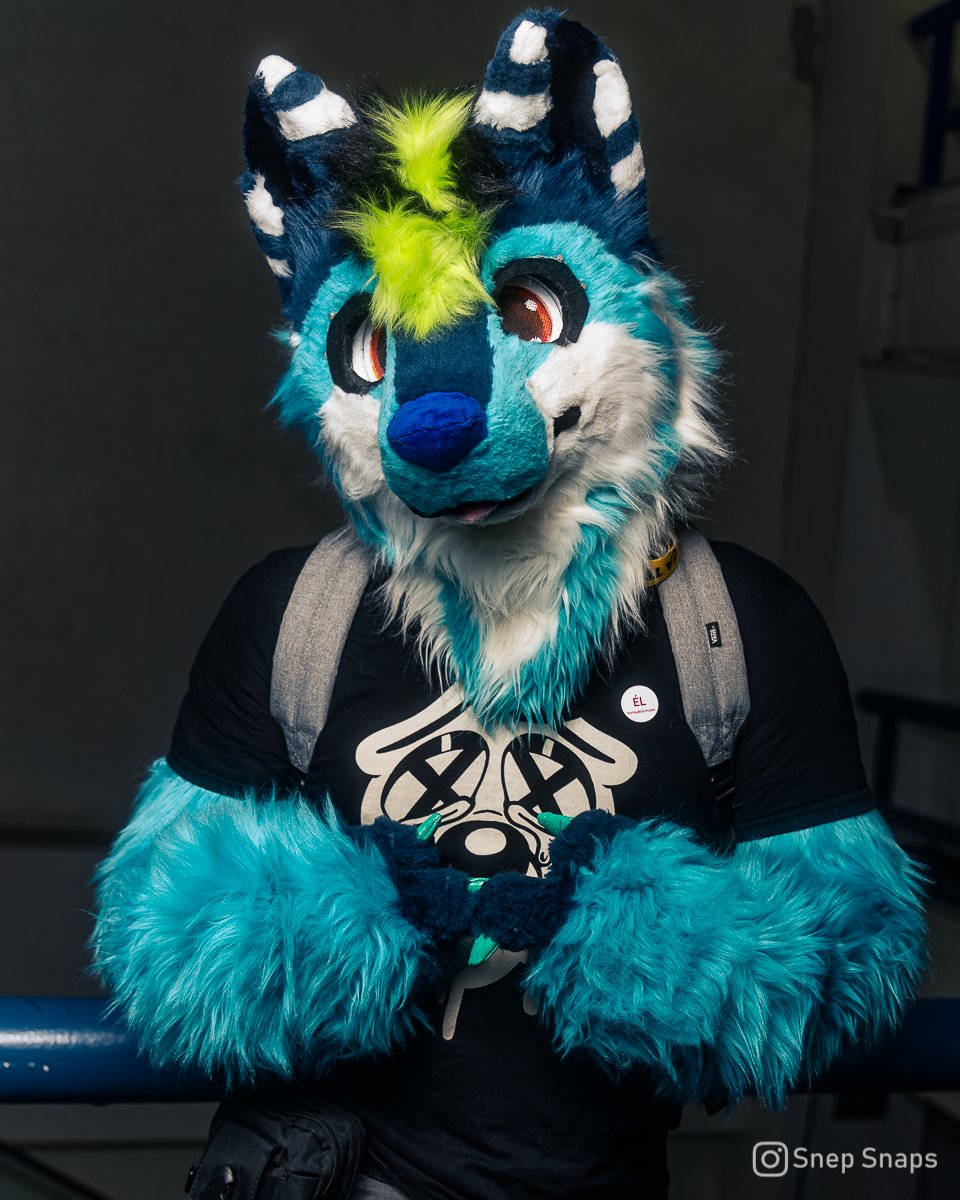 #FursuitFriday desde la de la #Hatsukoi 2023!

📷: <a href="/SnepSnaps/">Snep Snaps</a>
🐺: <a href="/TheNinoloco/">TheNinoLoco</a> <a href="/vee_wlf/">Vee D. Wolf</a> &amp; Tango Mango !

#FursuitEveryday #FF