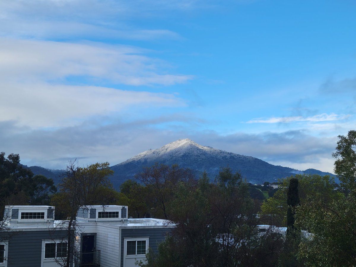 Snow on Mt. Tam. First in my life that I can remember.