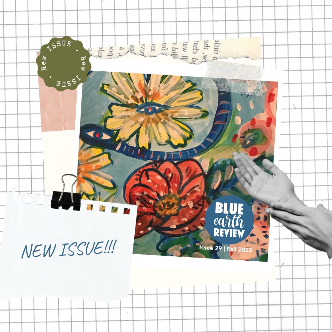 Blue Earth Review tweet media