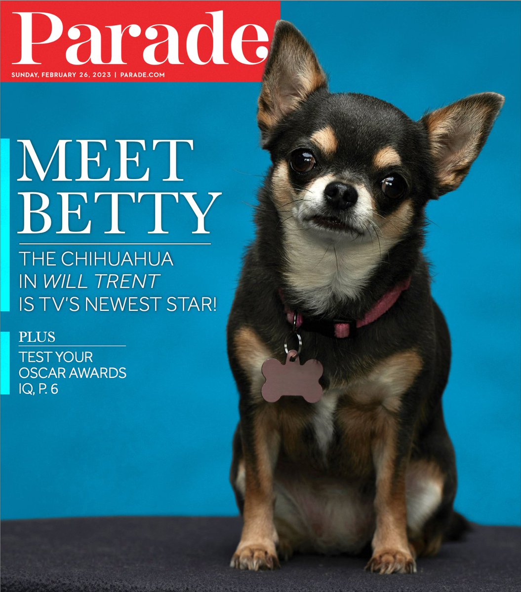 WillTrentABC's tweet photo. The secret's out: Betty is the new "it" dog. 🐾 Thanks to @parademagazine for featuring our #WillTrent pup like the star she is! 🤩
https://t.co/cS5htmLTp2 https://t.co/tGcUu5kvKB