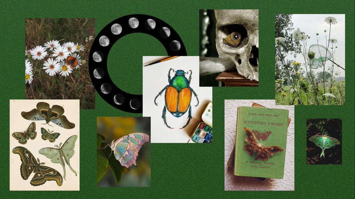 Gonta 🪲 tweet media