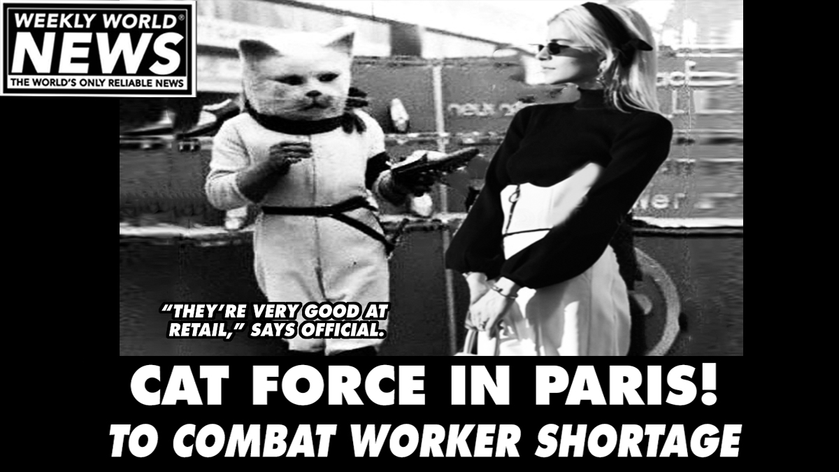 'Some of the best workers we've ever had.'
#cats #paris #france #workershortage #workers #catforce