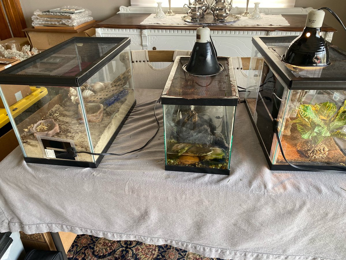 Jen Gabrys tweet media