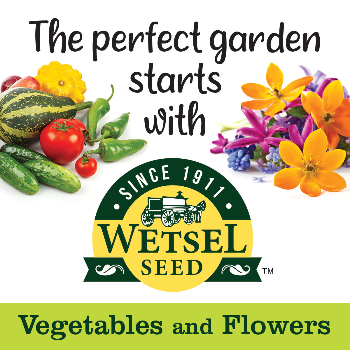 GreenhouseMega's tweet photo. We have High Quality &amp; High Germination seeds in stock!
Wetsel Seed believes that not all seeds are created equal. With over 110 years in the seed industry, simply said “we know seeds” and we know that with Wetsel Seed, you too can be a blue-ribbon winner. https://t.co/bJdD5r1dGH