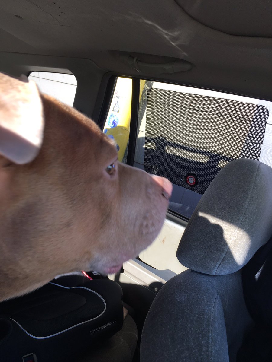 Got food from the Magic window this morning pals