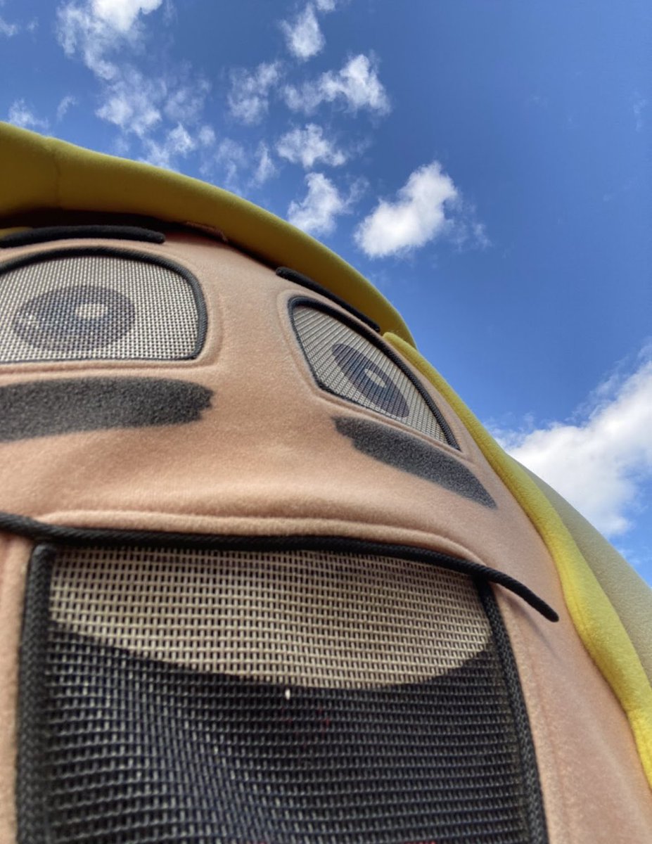 Guardians Hot Dogs tweet media