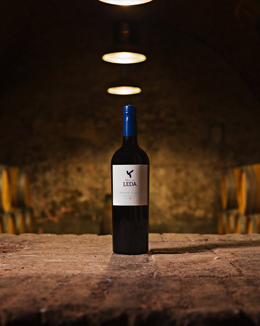 MasaveuBodegas's tweet photo. Más de Leda es un tempranillo ecológico multiterroir que ha permanecido durante 15 meses en barricas de roble francés y americano, lo que le convierte en un vino expresivo y potente, de los grandes vinos de la Tierra de Castilla y León 🍷
#masaveubodegas #bodegasleda #bodegaleda https://t.co/M2fdS4D2TE
