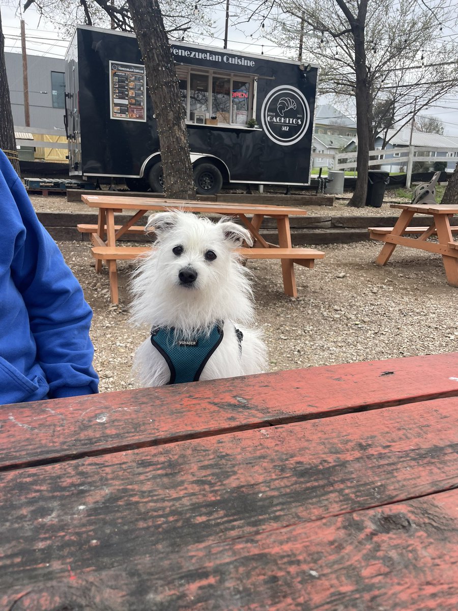 Keyboard Monkey -KBM- tweet media