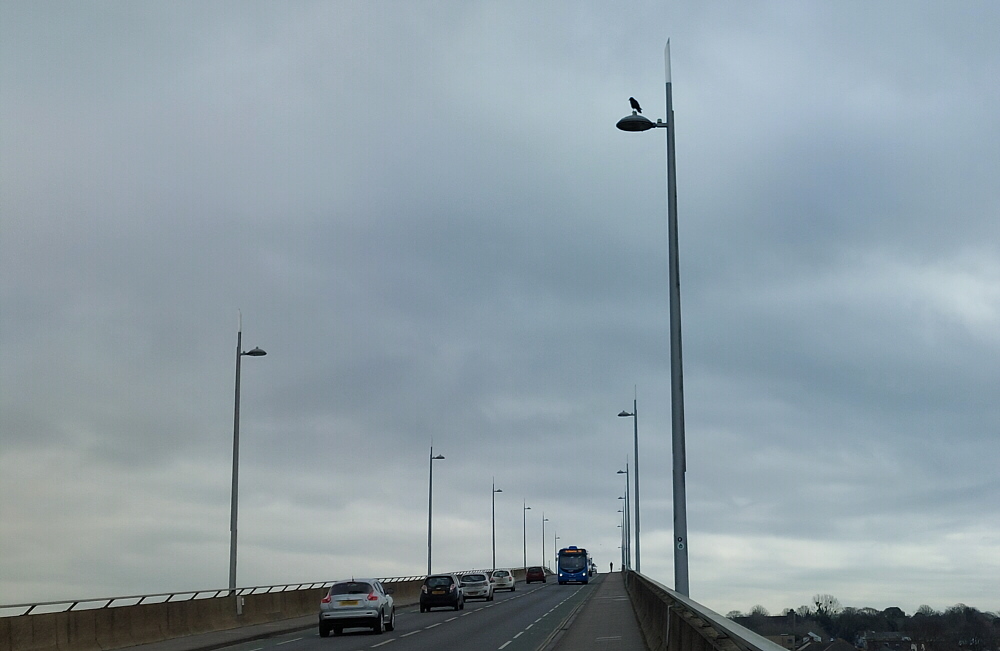 BobMockford's tweet image. Cor! There&apos;s a great view from up here! #Crow #ItchenBridge