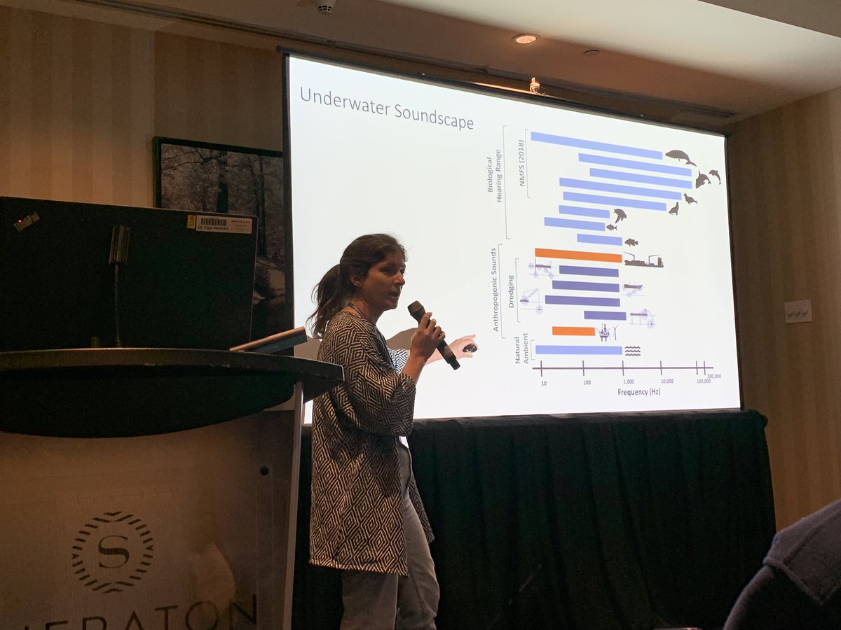 Amazing talk by the great <a href="/mazzei_renata/">Renata Mazzei</a> telling us about fish hearing adaptations and how some fish either avoid or are attracted by anthropogenic sounds! Yes… 🐟 have ears👂! #SCAS_SCSA2023 <a href="/scas_scsa/">Society of Canadian Aquatic Sciences</a> <a href="/GRIL_Limnologie/">GRIL</a>