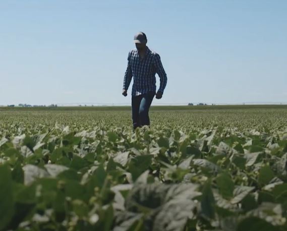 Ever wonder what it's like to be a Canadian bean farmer? Watch this video ow.ly/wY6R50MYnFc to follow APG Director @willmuller3 during a growing season. Another episode is coming soon! @MbPulseGrowers 
@OntBeanGrowers #lovepulses #betterwithbeans