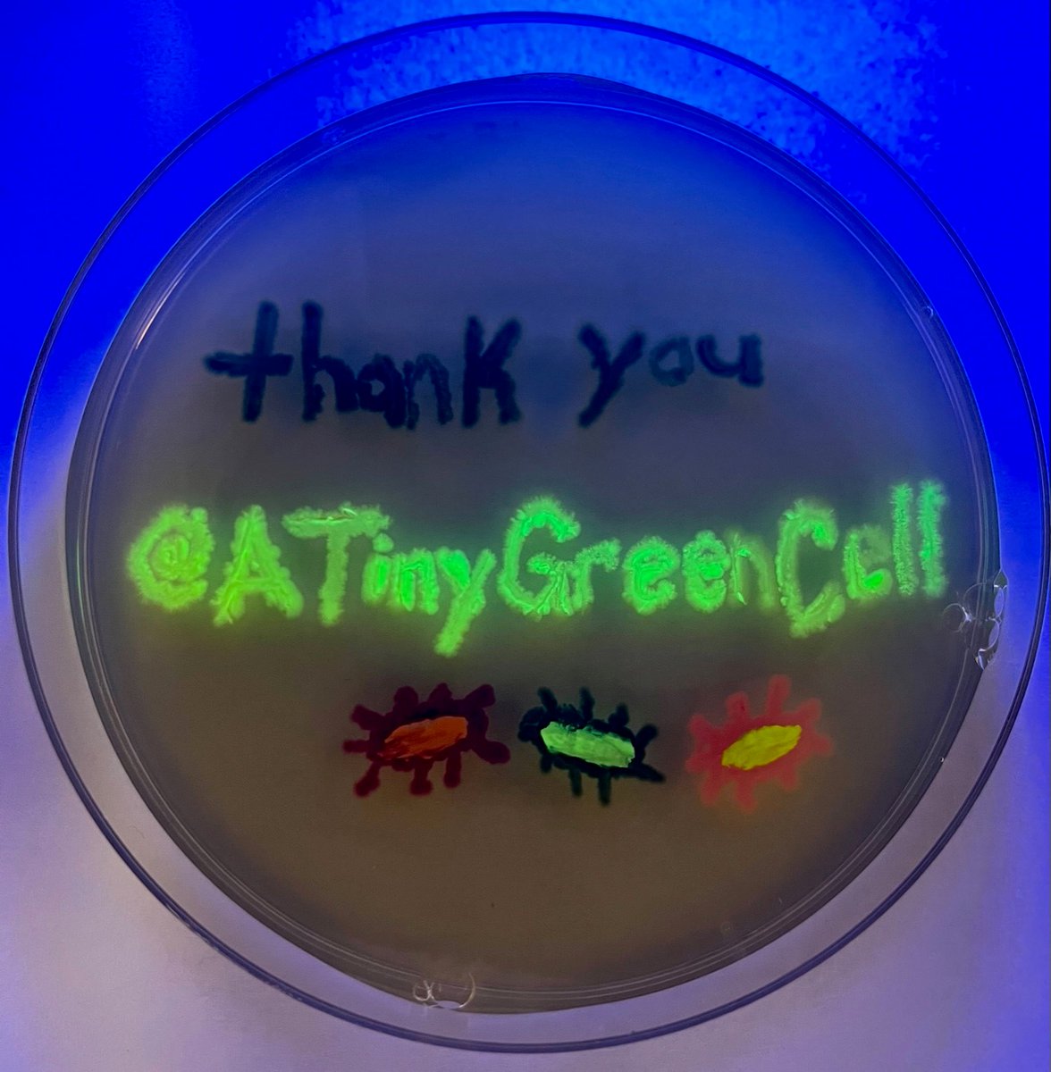 Karas Lab (@karaslab) on Twitter photo Thank you <a href="/ATinyGreenCell/">Sebastian S. Cocioba🪄🌷</a> for sending us your plasmids. Thank you <a href="/jordynsmeaney/">Jordyn Meaney (they/xe)</a> for making this art. Thank you <a href="/ATinyGreenCell/">Sebastian S. Cocioba🪄🌷</a> for sending us your plasmids. Thank you <a href="/jordynsmeaney/">Jordyn Meaney (they/xe)</a> for making this art.