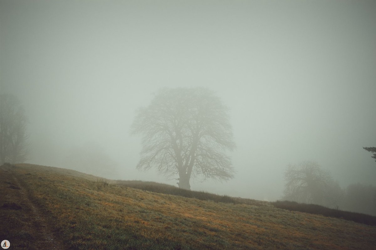 𝘛𝘩𝘦 𝘍𝘰𝘨 𝘈𝘭𝘸𝘢𝘺𝘴 𝘓𝘪𝘧𝘵𝘴

📍 Lough Muckno, Castleblayney. 

🔗:  ajlmedia.ie

#Castleblayney #Monaghan #Nikon #LoughMuckno #KeepDiscovering #IrishPhotography #MyMonaghan ☘️

<a href="/MonaghanTourism/">MonaghanTourism</a> | <a href="/ancienteastIRL/">Ireland's Ancient East</a> | <a href="/DiscoverIreland/">Discover Ireland</a> | <a href="/FollowIreland/">We Love Ireland</a>