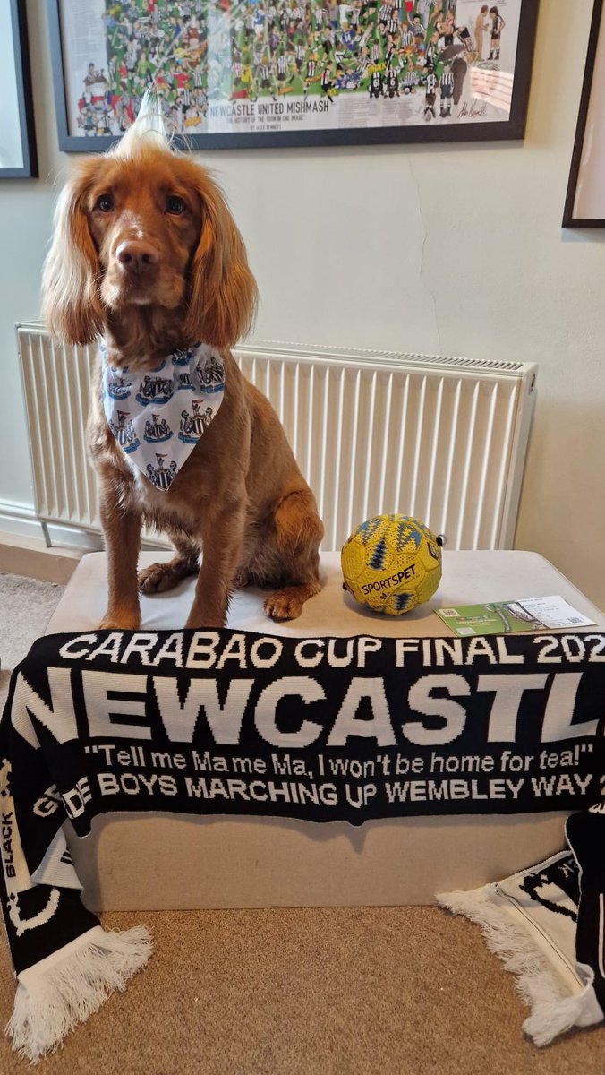 Link is off to Wembley with the Geordie Boys! ⚽️⚫️⚪️ <a href="/NUFC/">Newcastle United</a> Good luck for Sunday! #NUFC #CarabouCup