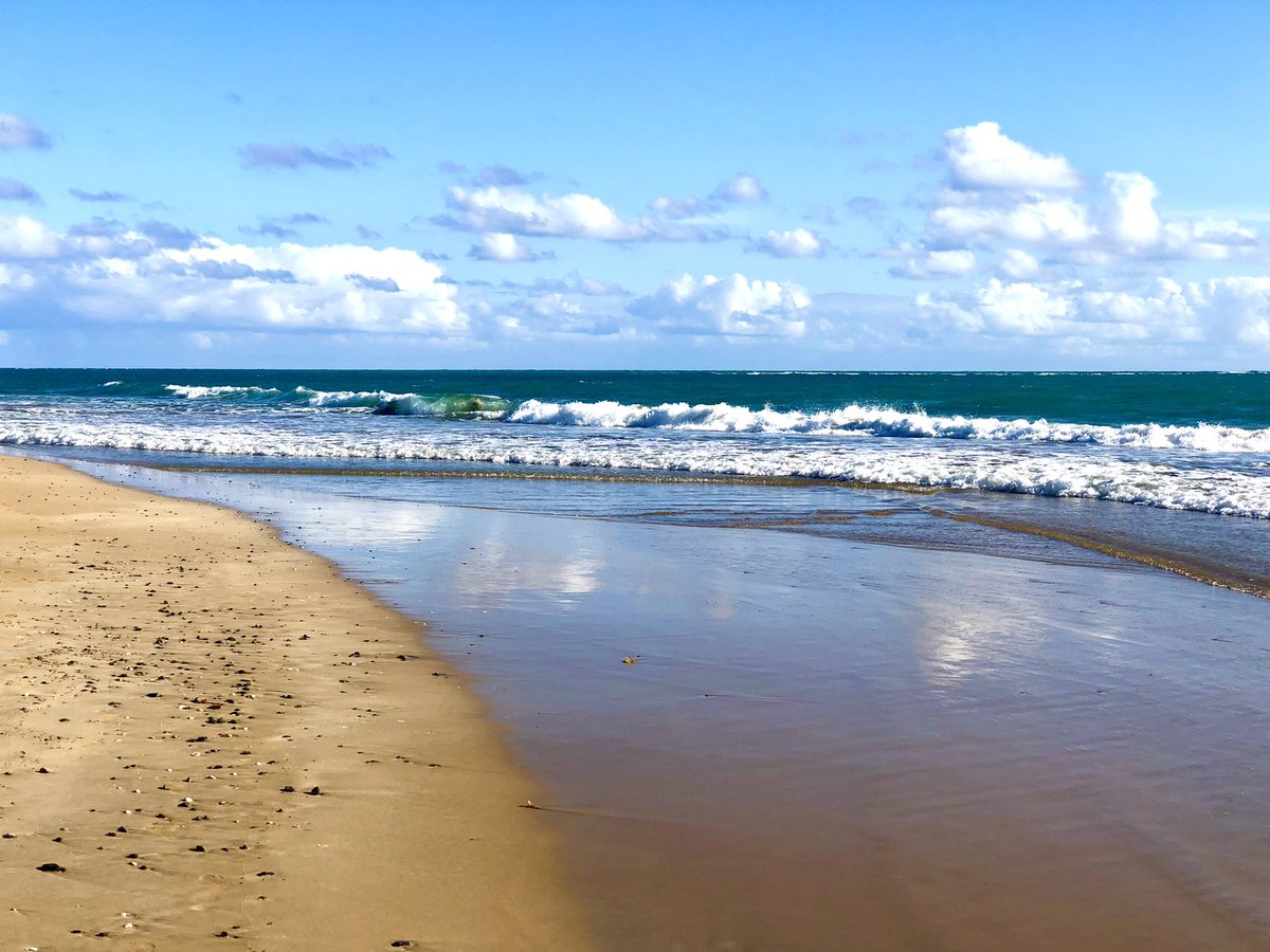 Sunrise ECG session with our #EPfellows Scott Weinreb and Ivor Asztalov as my co- presenters. Packed house despite the outside beauty just steps away . #PeurtoRico. Peds peeps hate #ECGs but love to learn them . #Cardiology2023 <a href="/HeartCare4Kids/">CHOPCardiacCenter</a> #EPeeps <a href="/PACESep/">PACES Pediatric and Congenital EP Society</a>