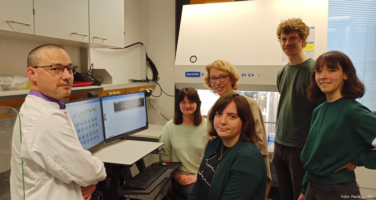 hoph_ffm's tweet photo. Die Arbeitsgruppe um Prof. Dr. Magdalena Huber, Institut der #Systemimmunologie @Uni_MR, identifizierte in allen untersuchten #Pankreaskrebs-Gewebeschnitten #Tc17-#Immunzellen, die zu verstärktem #Krebswachstum & somit kürzerem #Gesamtüberleben führen.
👉https://t.co/1Qb2cesAeS https://t.co/0InWxWtaAS