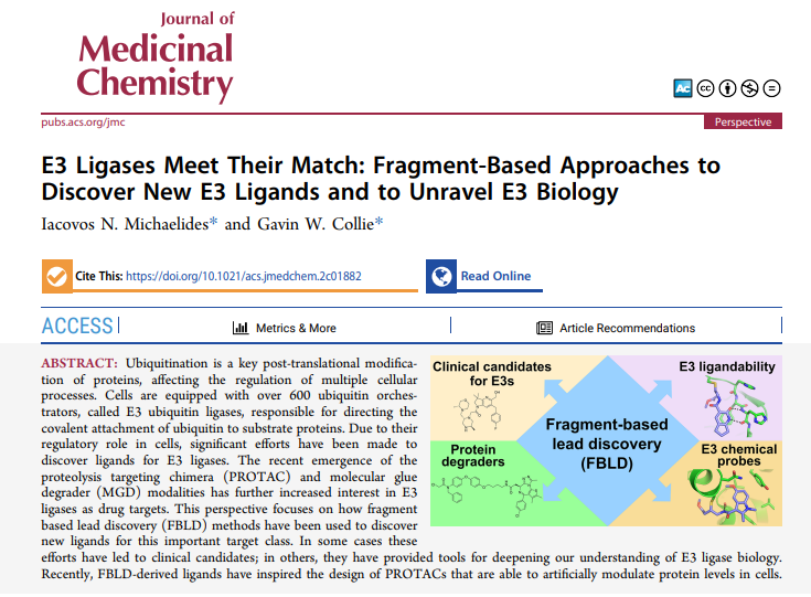 Ingo Hartung (@hartungingo) on Twitter photo An excellent perspective by authors from <a href="/AstraZeneca/">AstraZeneca</a> about fragment-based approaches to identify ligands for E3 ligases. Of especially high relevance for the field of targeted protein degradation (#TPD). <a href="/ACSBioMed/">ACS Publications Bio & Med Chem Content</a> pubs.acs.org/doi/10.1021/acโฆ An excellent perspective by authors from <a href="/AstraZeneca/">AstraZeneca</a> about fragment-based approaches to identify ligands for E3 ligases. Of especially high relevance for the field of targeted protein degradation (#TPD). <a href="/ACSBioMed/">ACS Publications Bio & Med Chem Content</a> pubs.acs.org/doi/10.1021/acโฆ