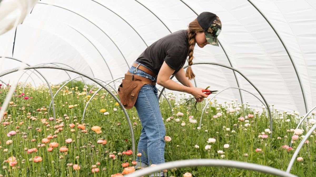 The next chapter of your biodynamic learning - online and in person, check out all the upcoming courses we have on offer. mailchi.mp/fd8fdd7a820f/n…