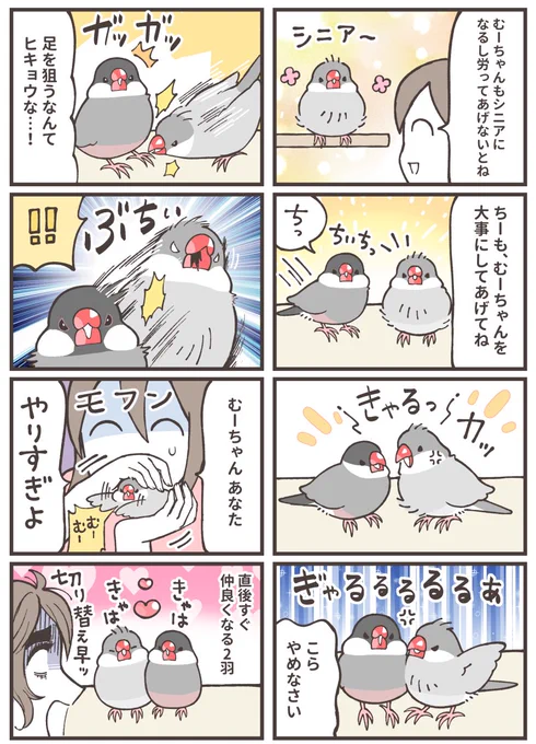 落ち着けないシニア文鳥🧓

#漫画が読めるハッシュタグ 