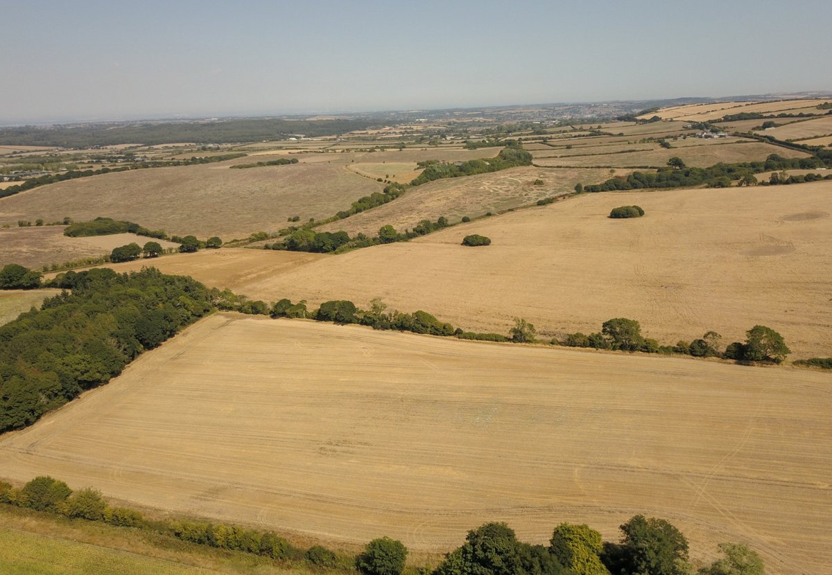 imperialcollege's tweet photo. Water management is a growing challenge in the UK.
Climate change is forecast to make summer droughts and winter flooding more frequent occurrences ☀️🌧️
#SustWeekICL https://t.co/FZnreOG9B2