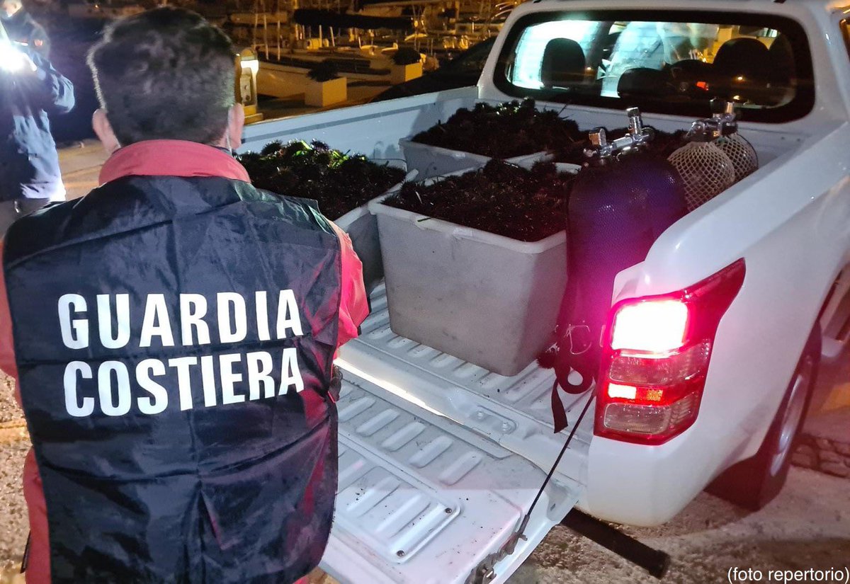 guardiacostiera's tweet image. Dopo una notte di monitoraggio, la #GuardiaCostiera di #Civitavecchia ha fermato e sanzionato 2 sub provenienti dalla Puglia, che raccoglievano ricci di mare nel porto di #SantaMarinella.
Restituiti al mare oltre 13.000 echinodermi ancora vivi e vitali. 

#TutelAmbiente