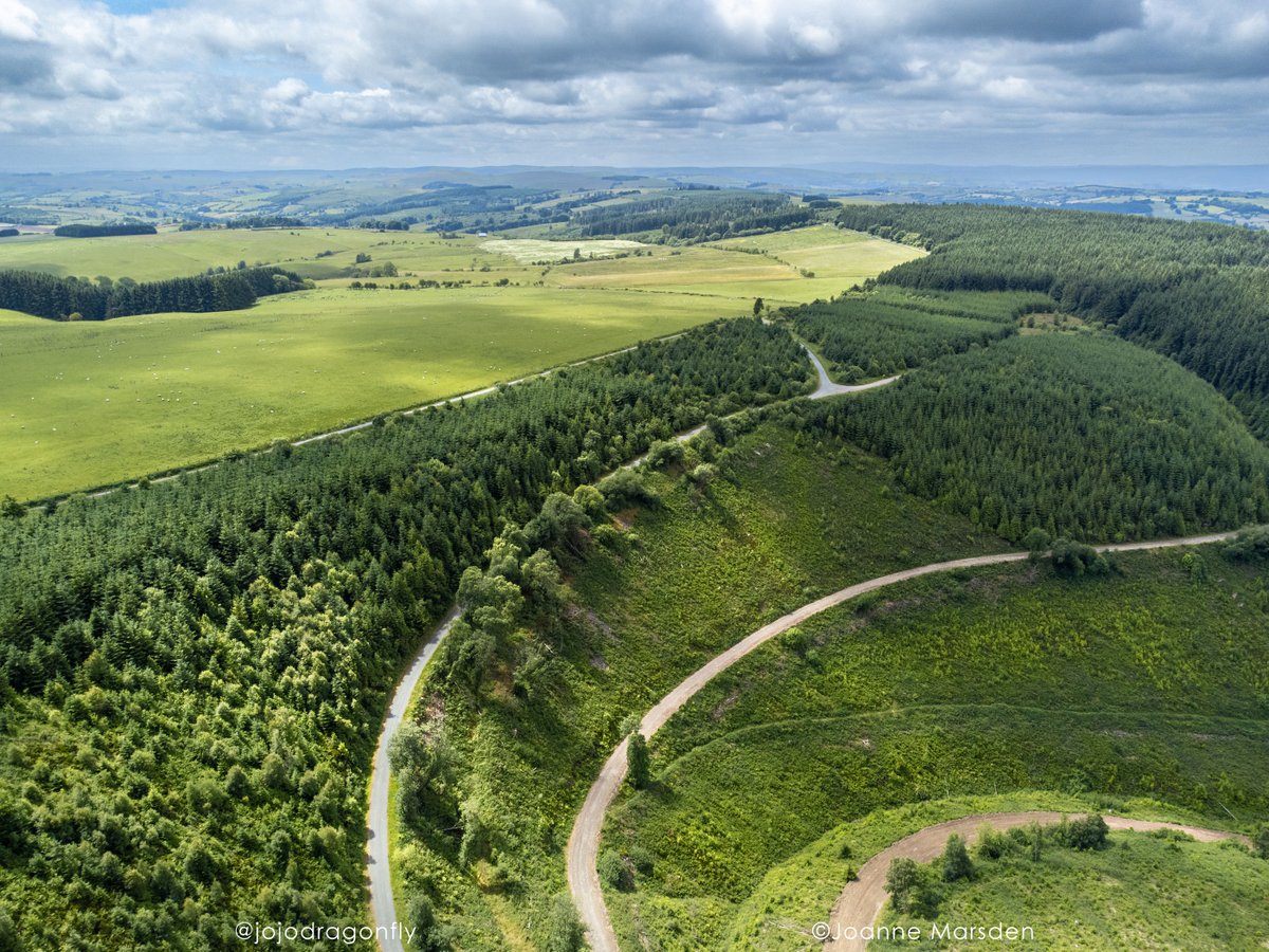 Woodland on Kerry Ridgeway 
#KerryRidgeway #Siercwm
@visitshropshire
#ThePhotoHour #dronephotography