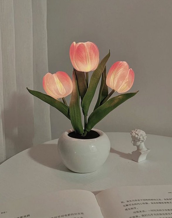 tulip lamp🌷✨