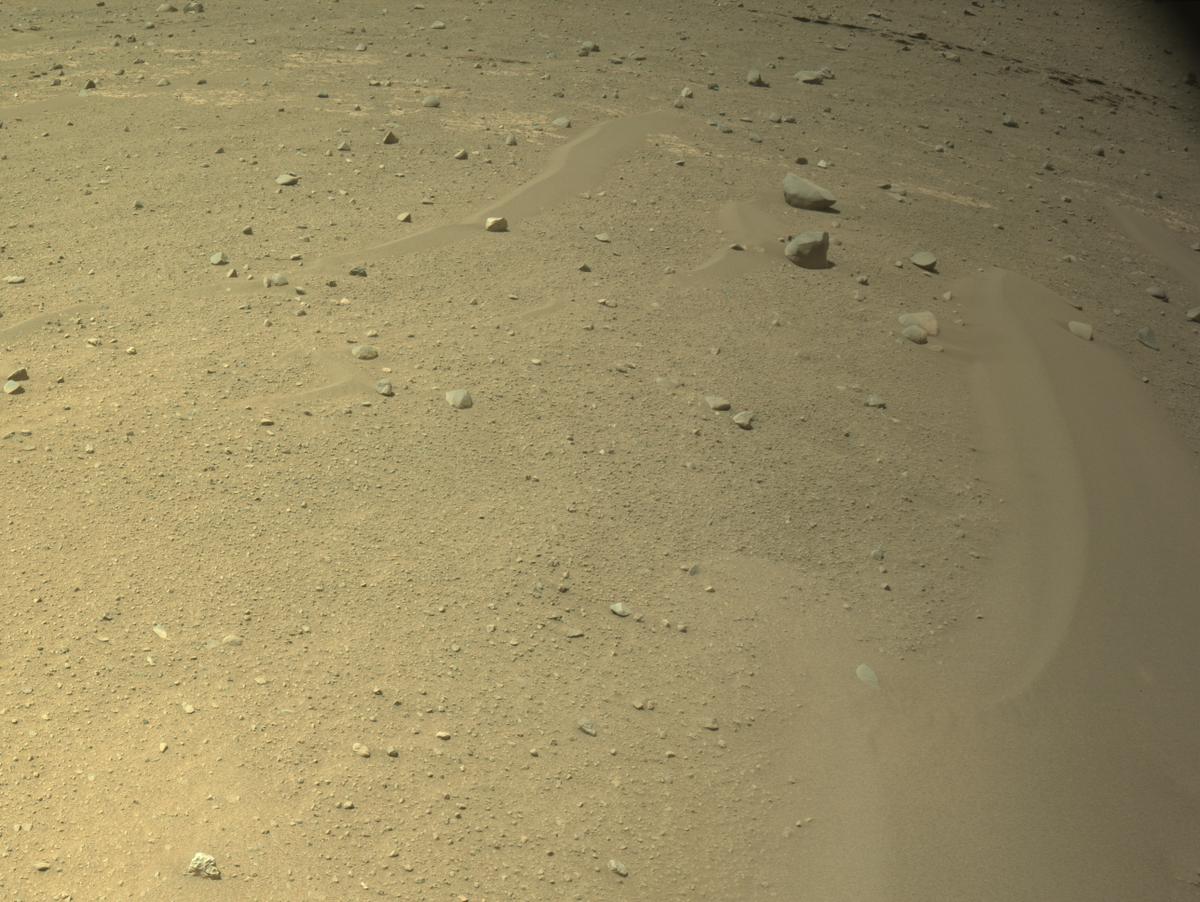 MarsMissionImgs's tweet photo. #PerseveranceRover image taken on #Sol705 at 2:02:45.638 PM with #Navcam #Mars #NASA #Space https://t.co/MiBaSeZsjT