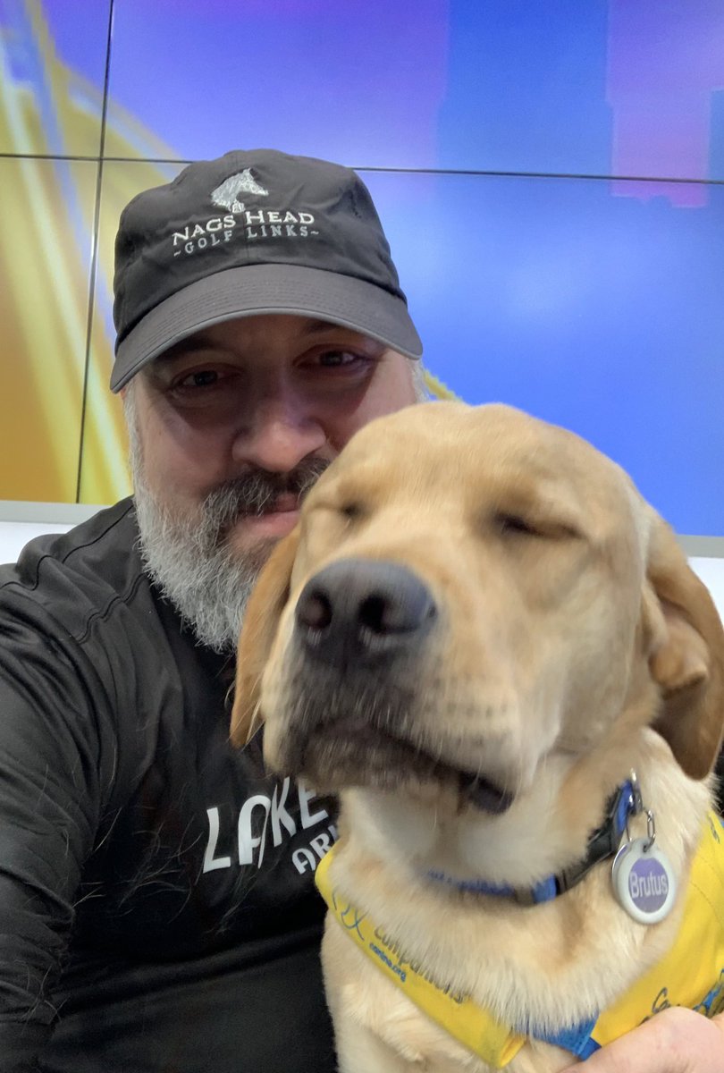 ajconn95's tweet photo. Brutus is never not cute, even when a little ornery. He also never fails to leave a layer of fur behind. 🐶  @nbc4i  @canineorg https://t.co/HO8Hf31YF3