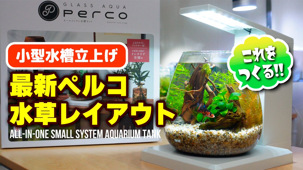 vivarium79info's tweet photo. 動画にミスがあったので修正して再アップしました！
いいねRTコメント頂いたかた、すいません！
▶https://t.co/j4JYV75q9s https://t.co/9U3tacG28R