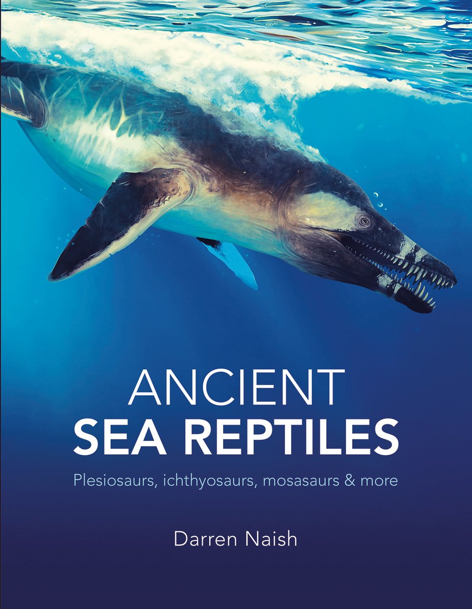 #DidYouKnow Darren Naish’s new book Ancient Sea Reptiles is out now in the Museum shop?

Here's some amazing facts you might not have known about these monsters of the Mesozoic seas!