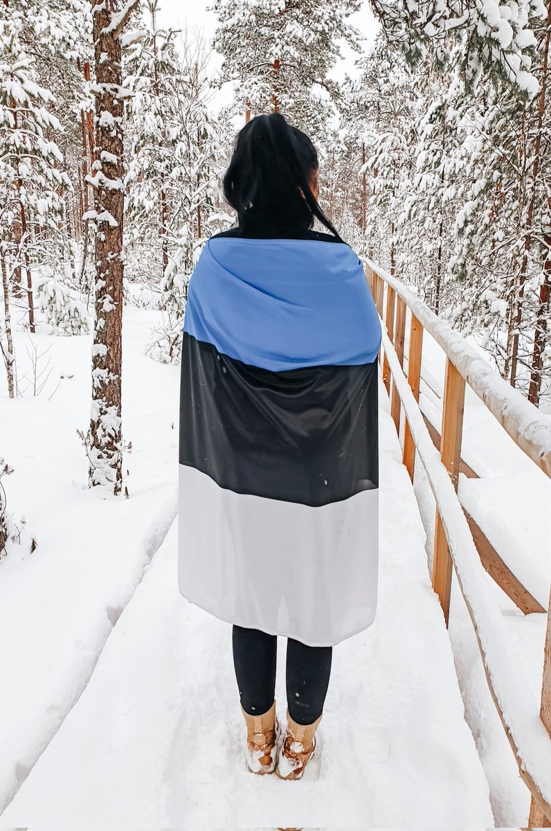 TheFl0orIsLaVa's tweet image. Freedom is never given. It is won!
Happy Independence day to all Estonians! We have earned it!💙🖤🤍