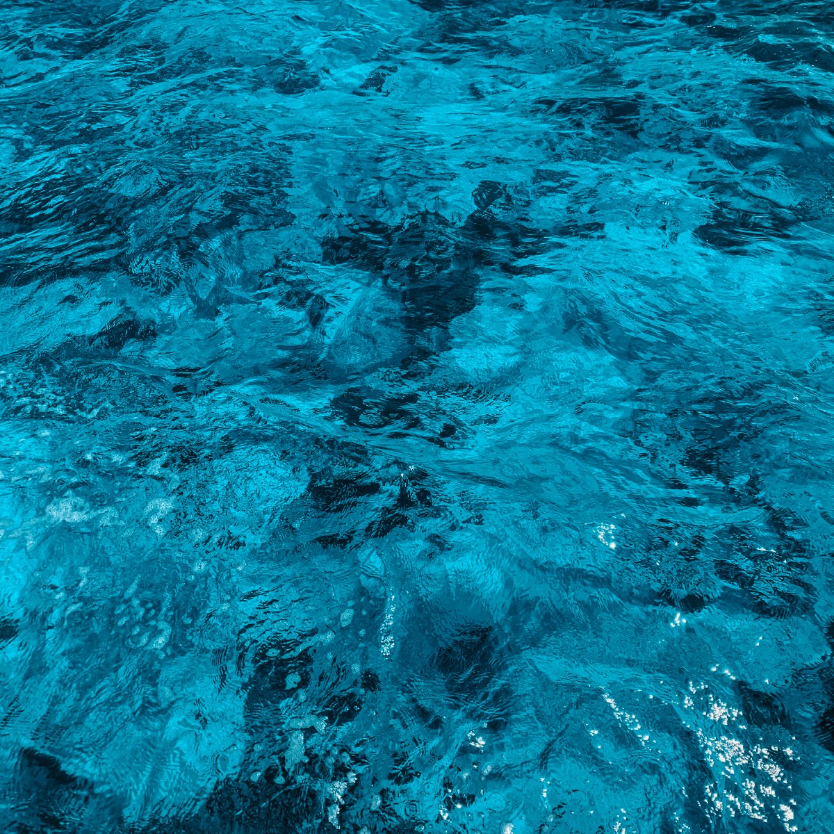 CaptMichaelFish's tweet photo. Move over Walter White, we’re cooking up something a bit fishier in this cyan blue crystal water 💙🌊
.
#captainmichael #boat #charter #partyboat #travel #traveling #florida #fishing #floridakeys #islamorada #robbies #visitflorida #vacation #islandlife #sea #sealife #fishtrip https://t.co/FQVFza3iz5