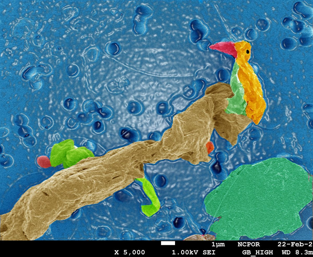 SahinaGazi's tweet image. Filtrate on filter paper is a key step to prepare water sample for #electronmicroscopy analysis. However, interpretation takes on a new meaning such as this colored art (a perching bird enjoying pond view on a rainy day) made from a filter paper residue. Colors do create emotion.