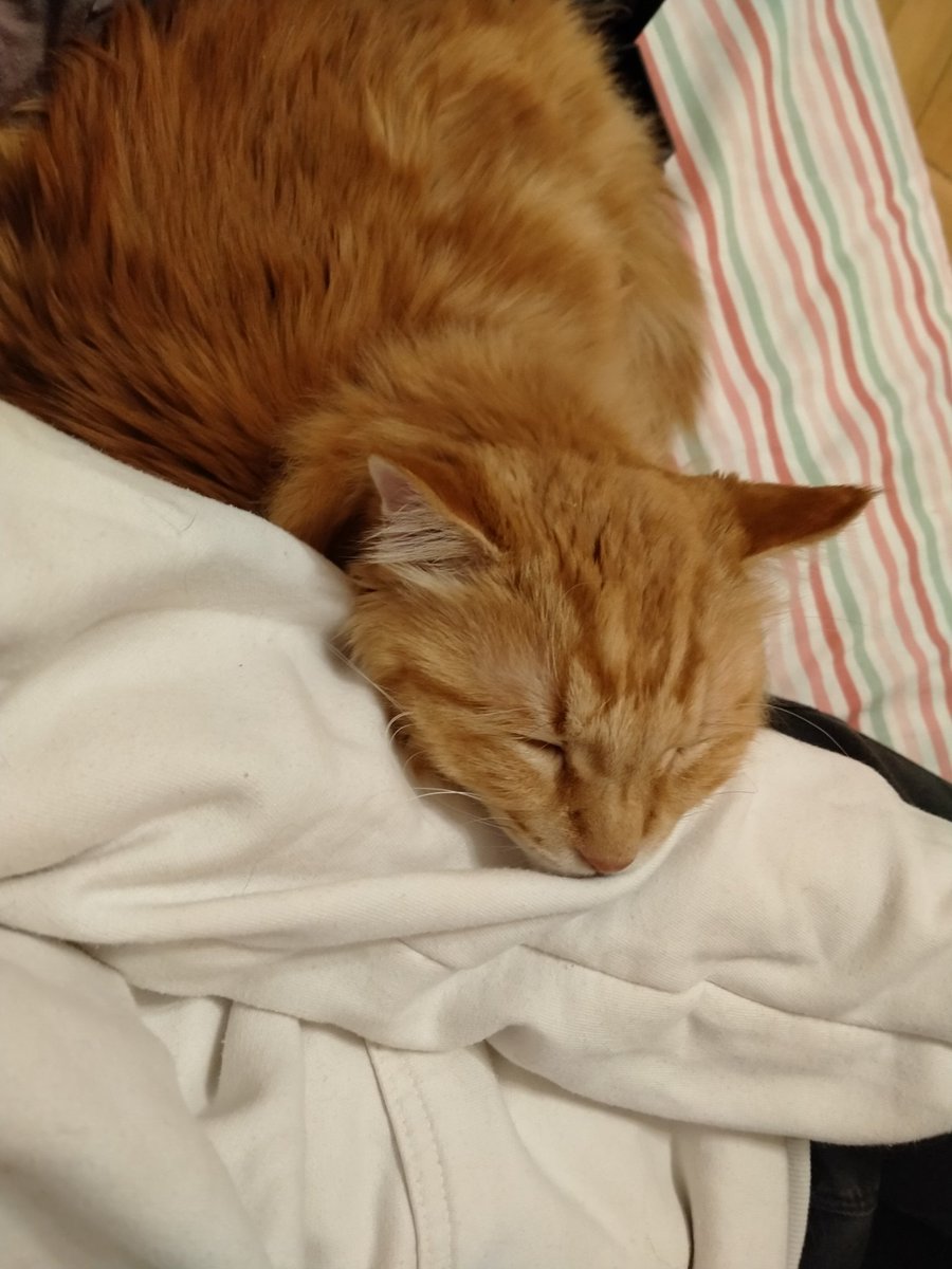 алекс on Twitter: \"RT @noshallowend: Худший день смог стать ещё хуже ...