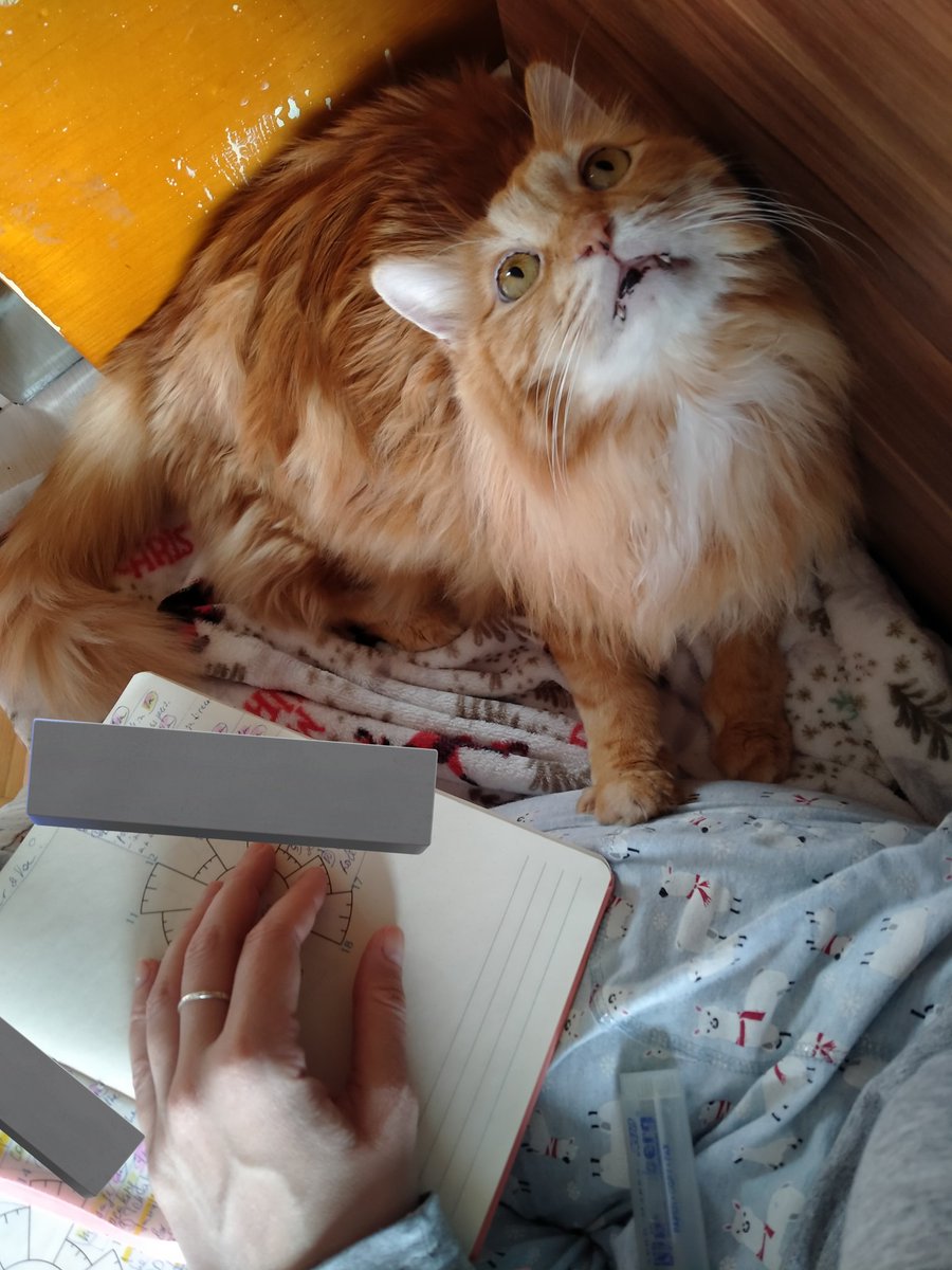 алекс on Twitter: \"RT @noshallowend: Худший день смог стать ещё хуже ...